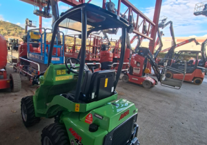 Chargeur articulé Avant 423 TDL